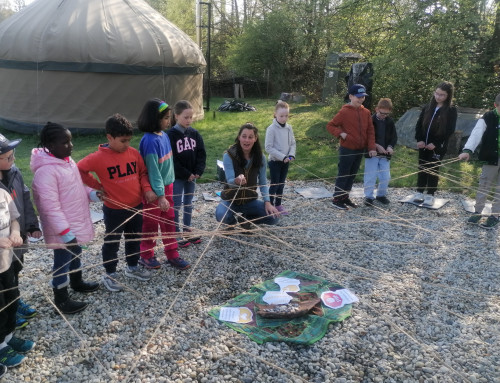 Gemeinschaft in der Natur