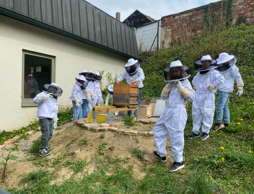 Unsere Schulbienen sind da!